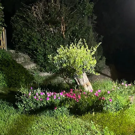 Holiday home Casalustro
